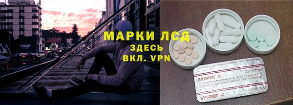 стафф Покачи